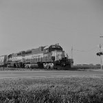 IARR 4206, 3802
